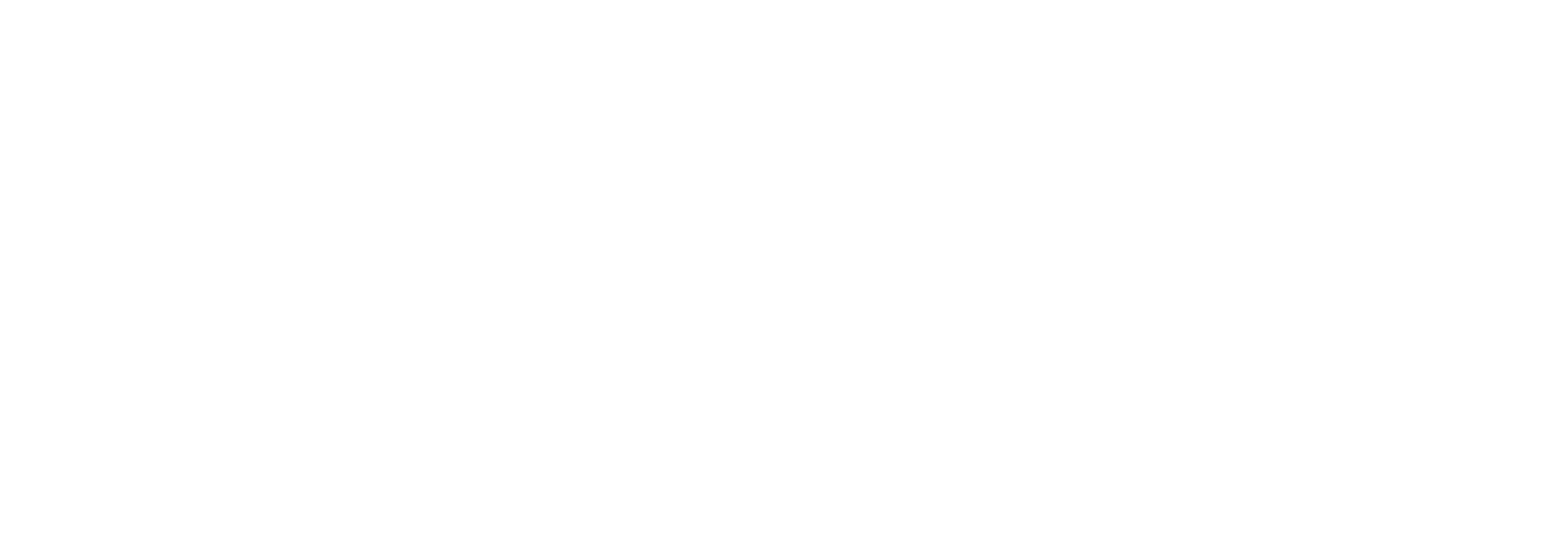 Metis Ventures disi